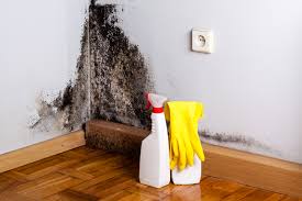 Trusted Mogadore, OH Mold Prevention & Removal  Experts